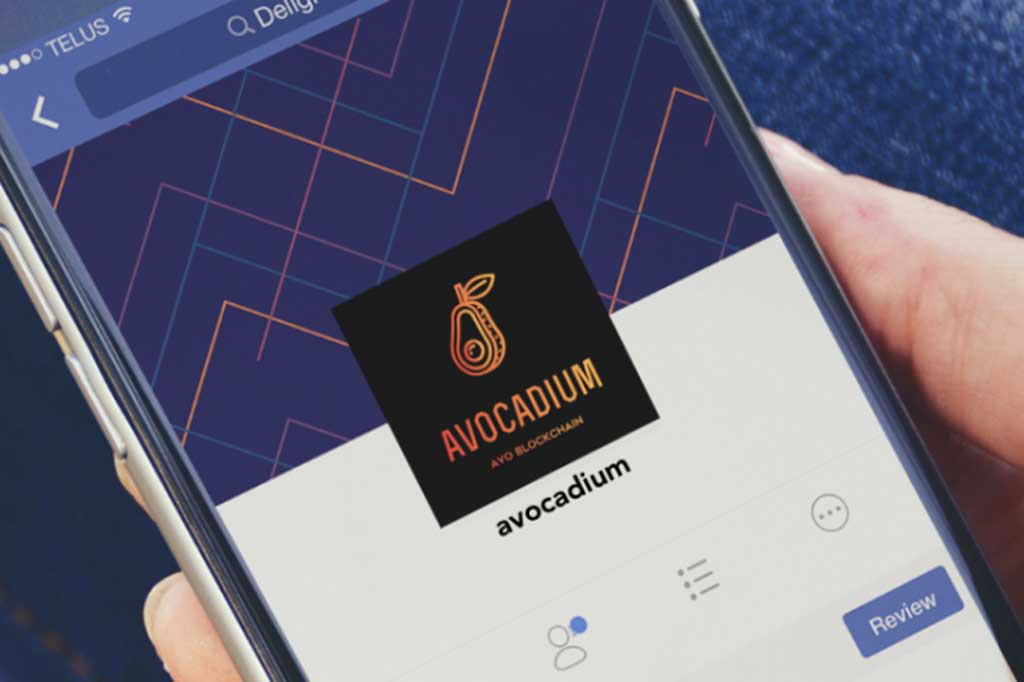 avocadium